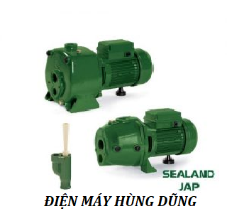 Máy bơm hút giếng khoan Sealand JAP 100 (750w)